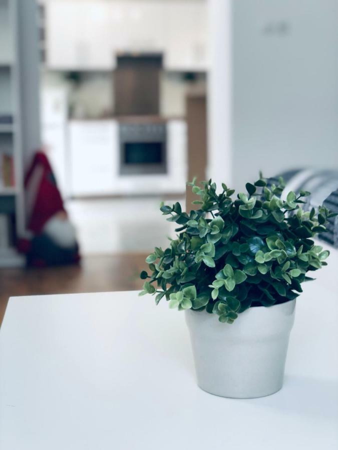 Klimó apartment Pécs Kültér fotó